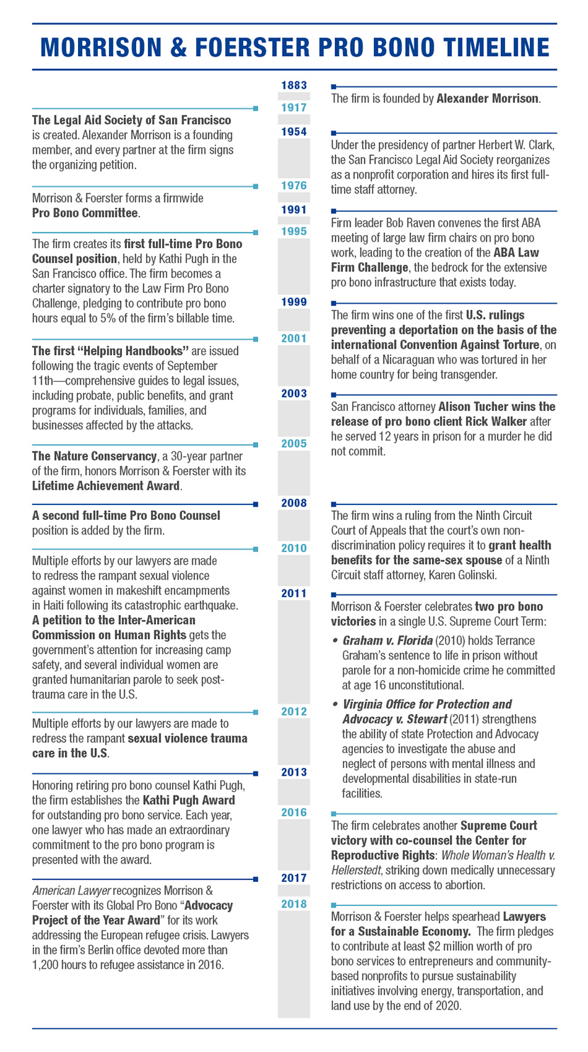 Pro Bono timeline infographic