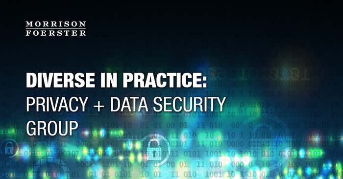 Diverse in Practice: Privacy + Data Security